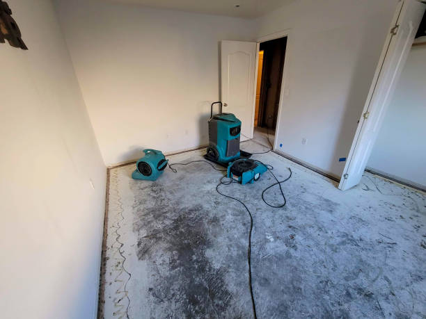 Best Emergency water extraction  in Tomball, TX