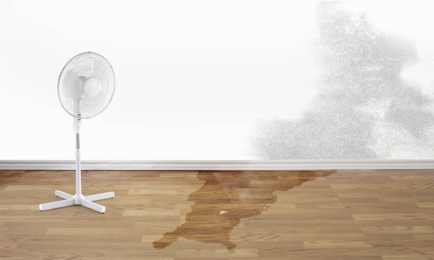 Best Carpet water damage restoration  in Tomball, TX